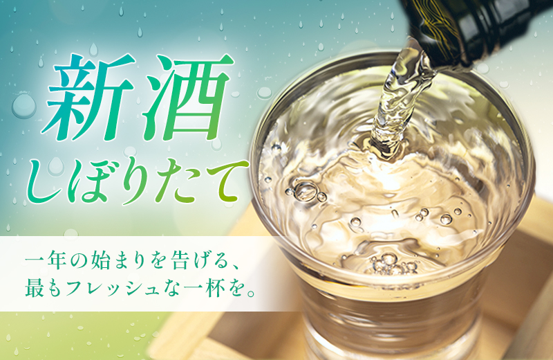 新酒しぼりたて特集